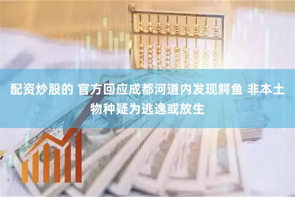 配资炒股的 官方回应成都河道内发现鳄鱼 非本土物种疑为逃逸或放生